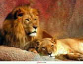 Фотография Веселова-Румянцева Дмитрия