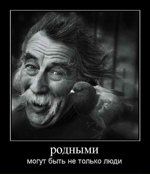 Софья Солнцева фото №1
