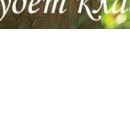 Ліля Радецька фотография #2 (источник - https://vk.com/id155361223)