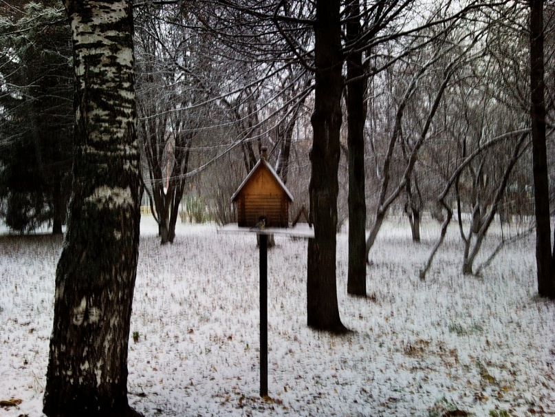 Игорь Владимирович фотография #30