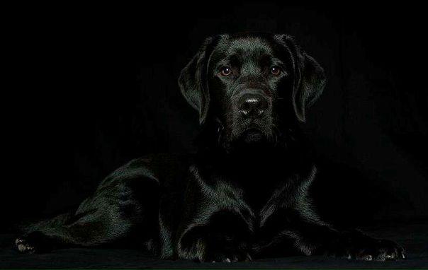 №1, Алина Кравец, Минск, Беларусь №1, Алина Кравец, Минск, Беларусь