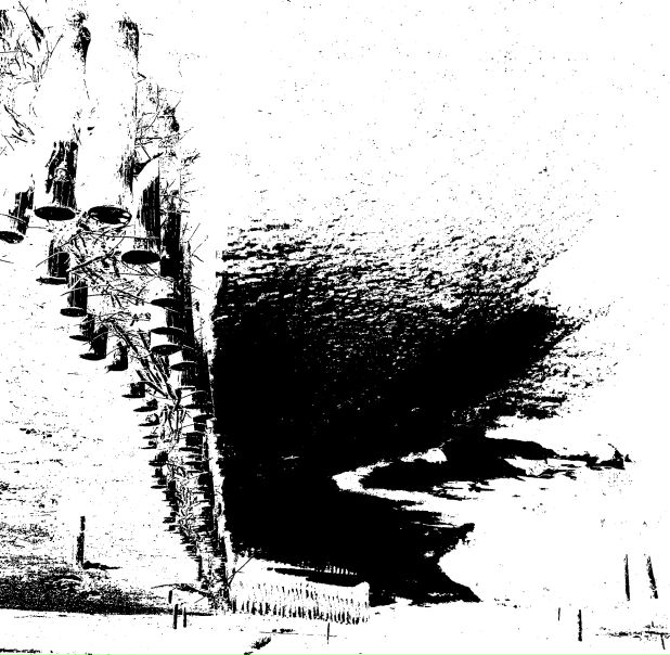 Лев Пак фото №37