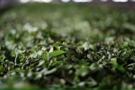 Иван Иванов фотография #2 (источник - https://vk.com/id595514)