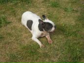 Фотография Магдеева Руслана