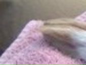 Олександр Андрієнко фотография #31 (источник - https://vk.com/id23256022)