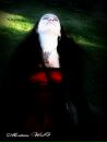 Фотография Asmodey Satany