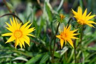 Сергій Синиця фотография #27 (источник - https://vk.com/id48487905)