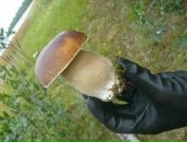 Фотография Татаринова Петра