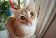 Фотография Лысаковской Елены