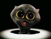 Фотография Матькова Владимира