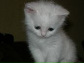 Фотография Зюзиной Светланы