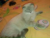 Фотография Сокол Татьяны