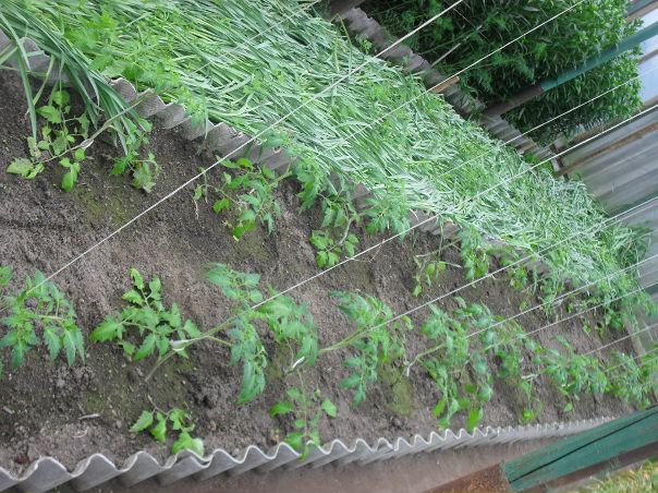 Сергио П.......в фото №7