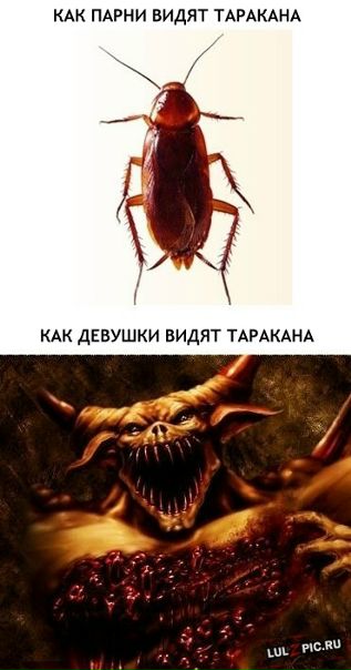 Сергей Ларин фото №43
