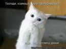 Юрій Тимоцко фотография #47 (источник - https://vk.com/id24383749)