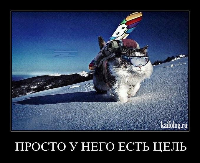 Рома Хомяков фотография #27