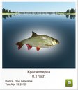 Макс Капітула фотография #41 (источник - https://vk.com/id134394023)