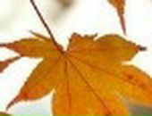 Андрій Квасниця фотография #9 (источник - https://vk.com/id23147799)