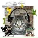 Alex Fox фотография #41 (источник - https://vk.com/id40662)