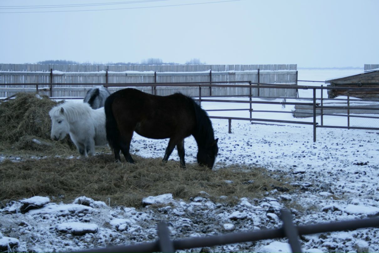 Лилия Вундер фотография #31