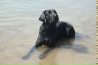 Артём Васильев фотография #28 (источник - https://vk.com/id657491)