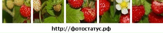 Марина Поліщук фотография #39 (источник - https://vk.com/id11496378)