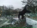 Андрік Тимосевич фотография #17 (источник - https://vk.com/id136290573)
