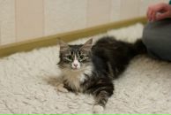 Фотография Титовой Лизы