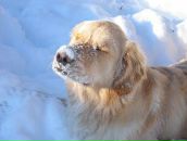 Фотография Фомичёва Игоря