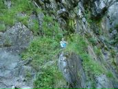 Фотография Сотник Наташа