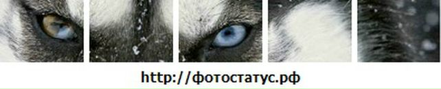 Вова Воронін фотография #35 (источник - https://vk.com/id18654541)