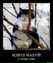 Аліна Котова фотография #43 (источник - https://vk.com/id6179769)