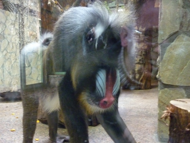 Сергей Кондратьев фотография #34