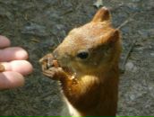 Фотография Рязановой Екатерины