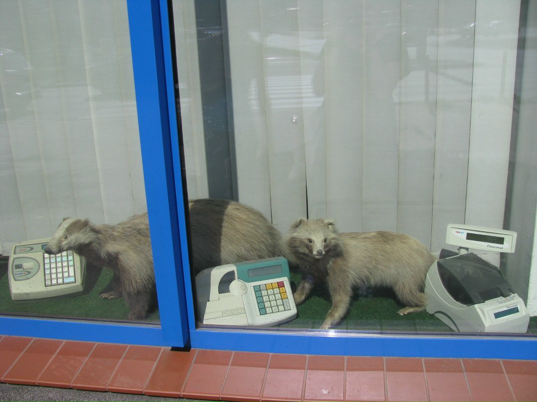 Лев Мышкин фотография #45