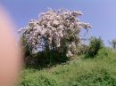 Снєжка Боровська фотография #22 (источник - https://vk.com/id61821301)