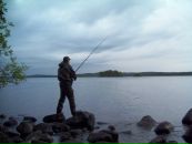 Фотография Лоторева Дмитрия