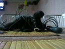 Олеся Любінецька фотография #8 (источник - https://vk.com/id38019841)