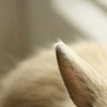 Ігор Надурак фотография #37 (источник - https://vk.com/id124434060)