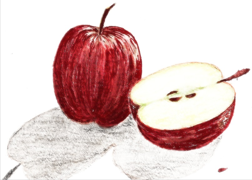 Тоха Тоха фотография #20