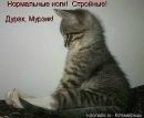 Фотография Роминой Инны