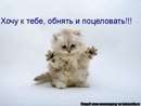 Ксюнічка Стаднік фотография #2 (источник - https://vk.com/id136352710)