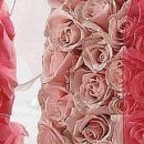 Олічка Терлич фотография #16 (источник - https://vk.com/id23929127)