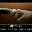 Ірина Лазоренко фотография #23 (источник - https://vk.com/id94839645)