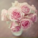 Фотография Разумовской Надежды