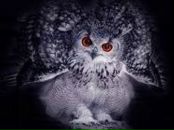 Фотография Дружининой Нади