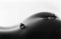 Фотография Серебренникова Степана