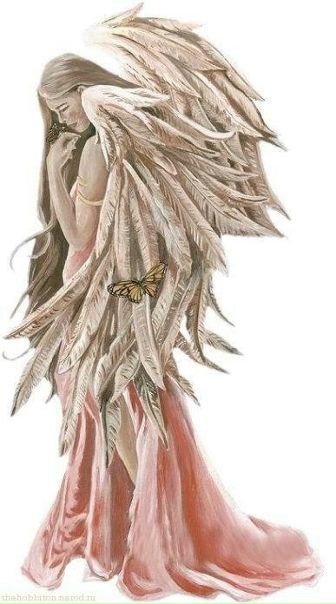 №11, Снежана Мездрина №11, Снежана Мездрина