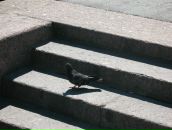 Фотография Смирновой Анны