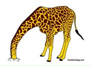 Фотография Карвалола Сани